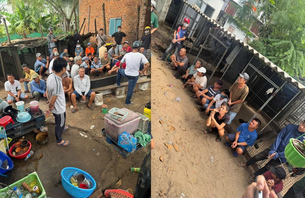 Bình Thuận: Triệt phá sới bạc quy mô lớn, bắt giữ 44 đối tượng Binh Thuan: Triet pha soi bac quy mo lon, bat giu 44 doi tuong