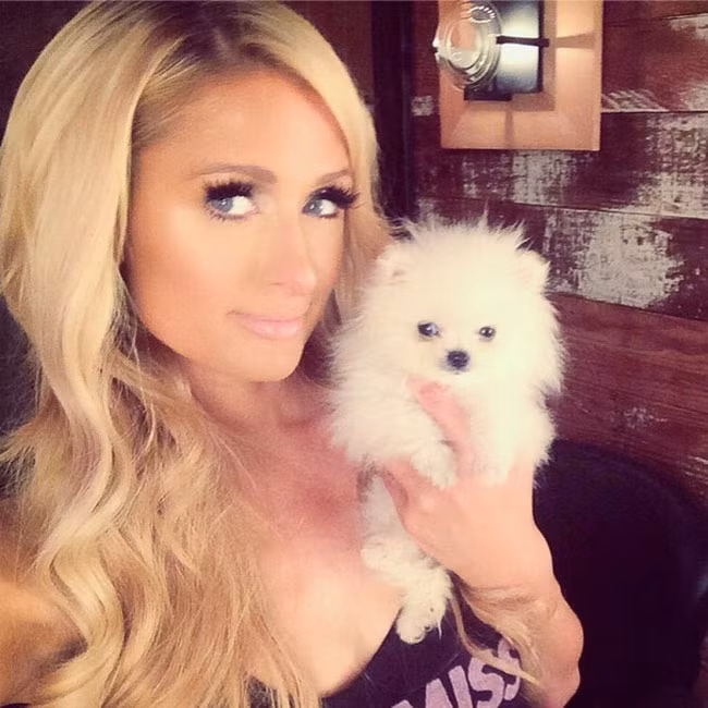 Top 10 sao Hollywood bao chi nhat gay choang-Hinh-6