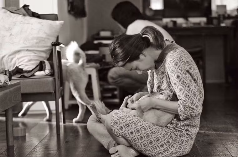 Giây phút thảnh thơi của Lee Hyori bên những chú cún cưng.