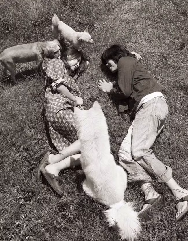 Rời bỏ những bộ trang phục hàng hiệu đắt tiền, những chốn xa hoa lộng lẫy nơi phố thị, Cô tiên quốc dân trở về với cuộc sống của một người bình thường giống như bao người dân khác trên đảo.