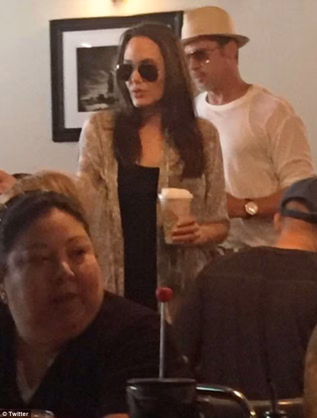 Những bức ảnh chụp Angelina Jolie và Brad Pitt đưa hai con sinh đôi đi mua sắm dịp sinh nhật cách đây 10 tuần trước là ảnh chụp chung cuối cùng của cặp đôi này.