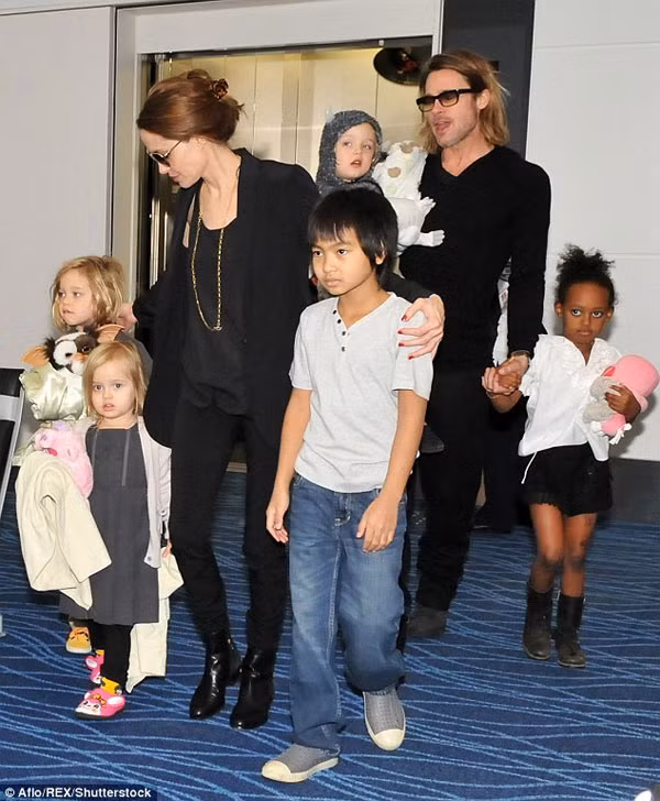 Brad Pitt bi phat hien luu anh Selena Gomez trong dien thoai-Hinh-3