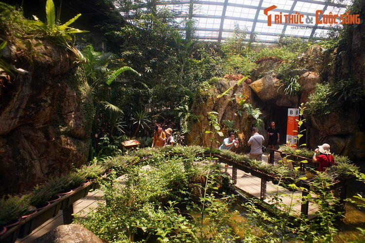 Với sự hấp dẫn khó cưỡng của mình, ngày nay trang trại bướm Entopia là một trong những địa điểm tham quan hàng đầu của Penang, hòn "Đảo Ngọc" của Malaysia.