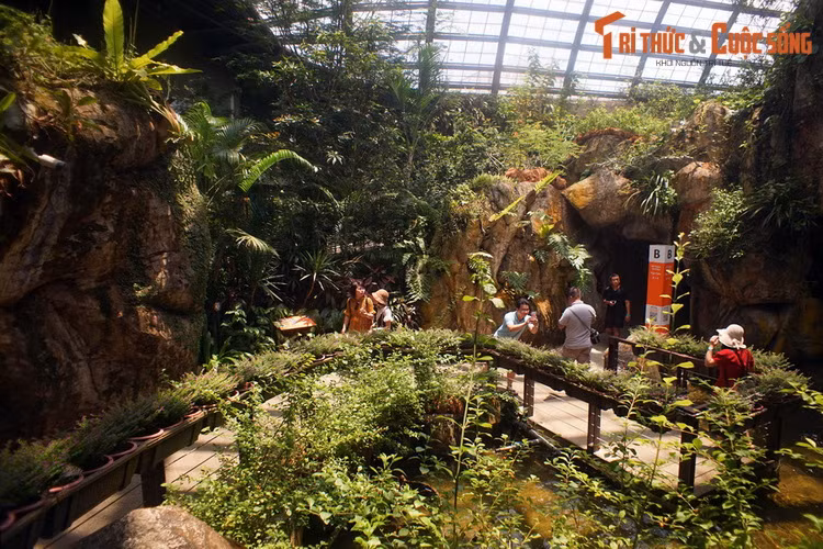 Với sự hấp dẫn khó cưỡng của mình, ngày nay trang trại bướm Entopia là một trong những địa điểm tham quan hàng đầu của Penang, hòn "Đảo Ngọc" của Malaysia.