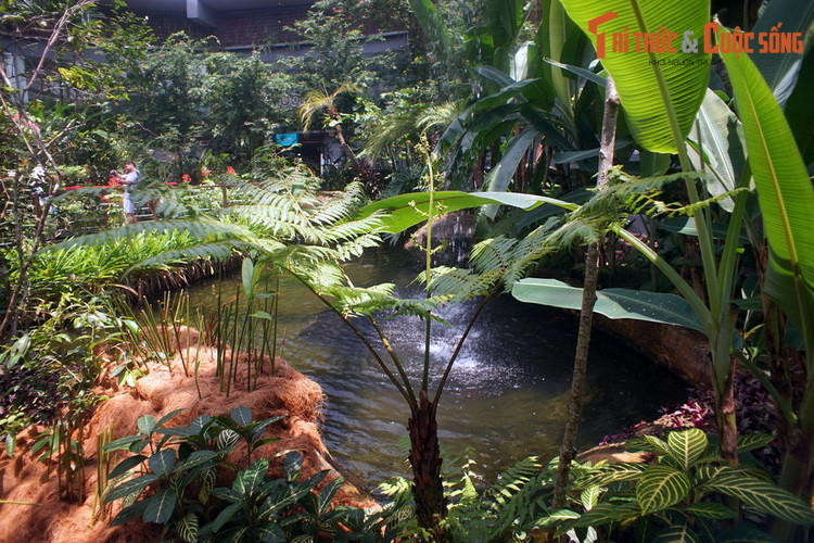 Khu vườn bướm cũng là nơi quy tụ nhiều loài thảo mộc độc đáo của rừng nhiệt đới vùng xích đạo Malaysia. Vừa ngắm bướm, du khách vừa có cơ hội khám phá những loài cây lạ lần đầu tiên mình bắt gặp.