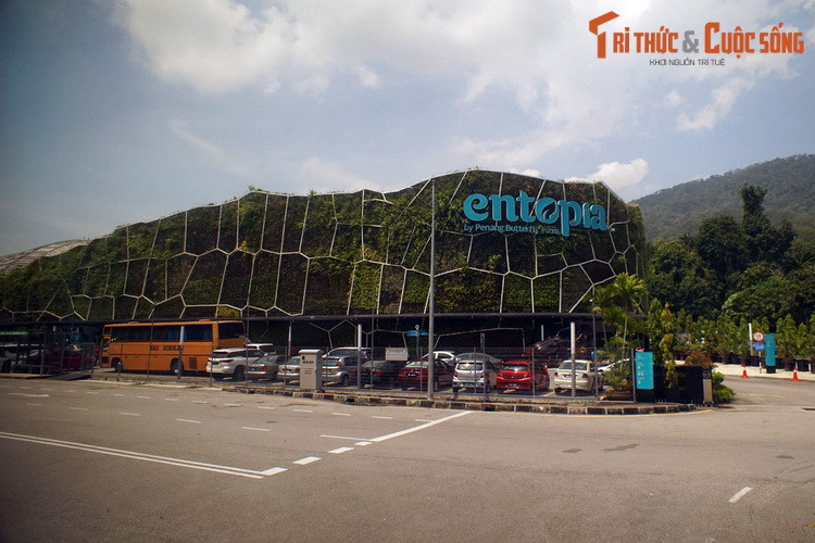 Nằm ở Tây Bắc đảo Penang, hòn đảo du lịch nổi tiếng của Malaysia, trang trại bướm Entopia là một trong những khu bảo tồn bướm lớn và nổi tiếng nhất thế giới.