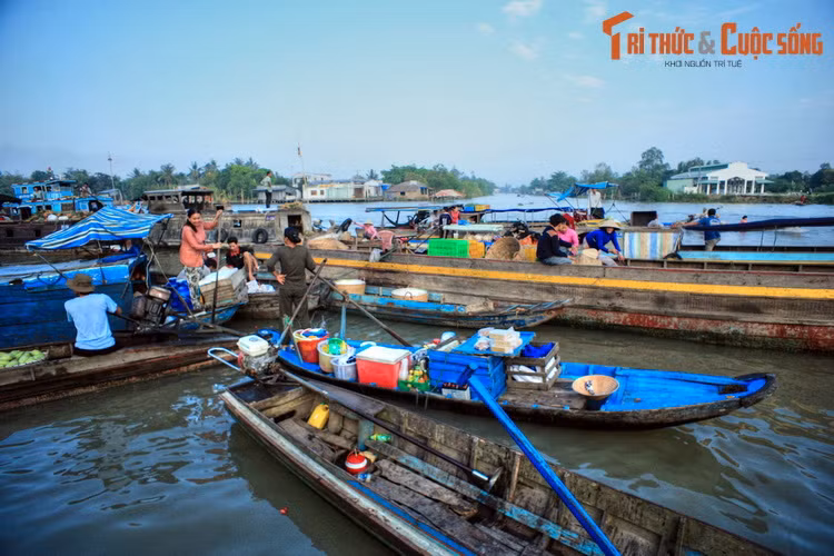 Tiền thân của chợ nổi Ba Ngàn chính là chợ nổi Phụng Hiệp hay chợ nổi Ngã Bảy, khu chợ nổi nức tiếng cả nước, một thời ghe thuyền ngược xuôi như mắc cửi.