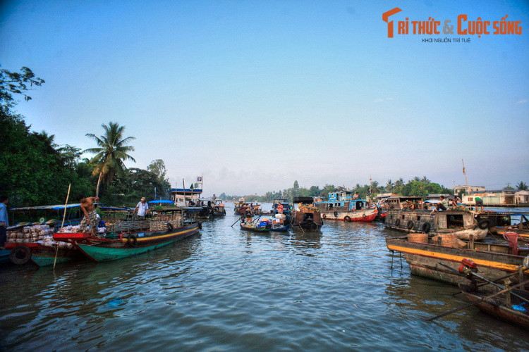 Tụ họp trên kênh Ba Ngàn thuộc địa phận xã Đại Thành, thành phố Ngã Bảy, chợ nổi Ba Ngàn là một điểm tham quan đặc sắc dành cho du khách phương xa ở tỉnh Hậu Giang.