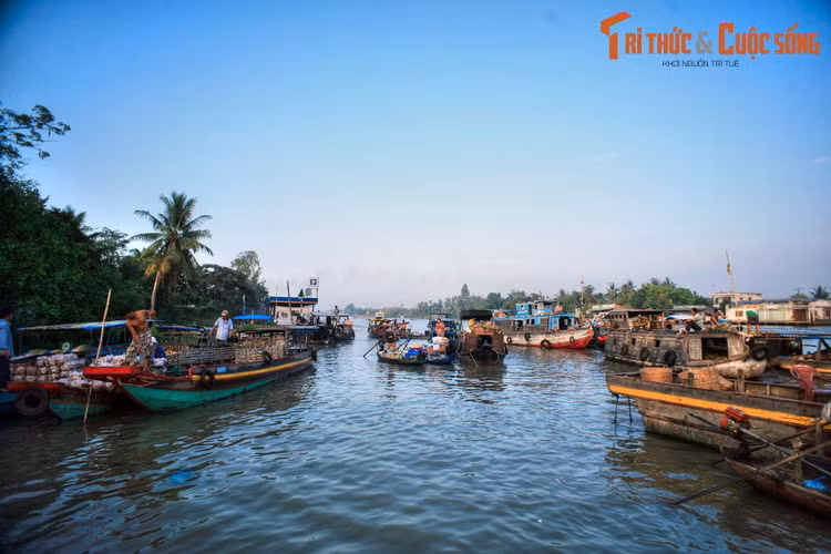 Tụ họp trên kênh Ba Ngàn thuộc địa phận xã Đại Thành, thành phố Ngã Bảy, chợ nổi Ba Ngàn là một điểm tham quan đặc sắc dành cho du khách phương xa ở tỉnh Hậu Giang.