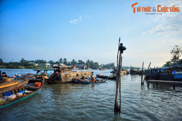 Đầu những năm 2000, để bảo đảm an toàn giao thông đường thủy, chợ nổi Phụng Hiệp đã được di dời về kênh Ba Ngàn, cách vị trí cũ khoảng 3 km.