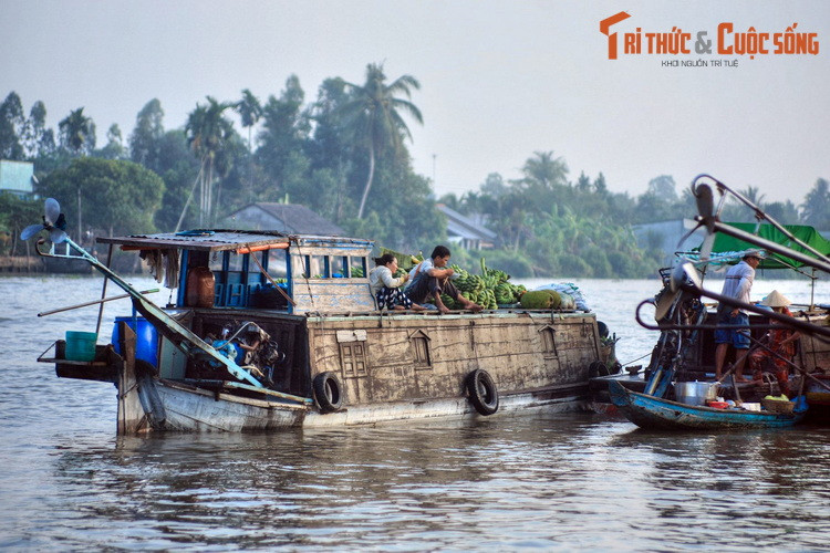 Một số hình ảnh khác về chợ nổi Ba Ngàn ở Hậu Giang.