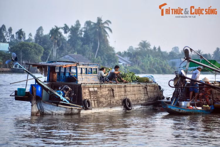Một số hình ảnh khác về chợ nổi Ba Ngàn ở Hậu Giang.