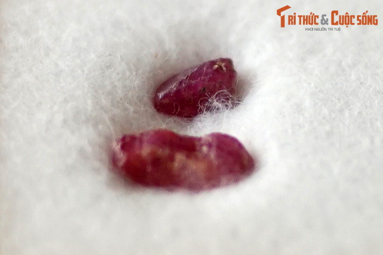 Ruby tinh thể, thu thập ở Lục Yên. Hồng ngọc trong tự nhiên rất hiếm, có giá trị rất cao trên thị trường đá quý. Các loại hồng ngọc được sản xuất nhân tạo có giá thành rẻ hơn khá nhiều.