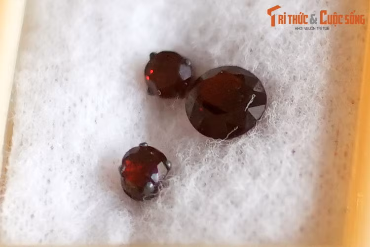 Garnet hay ngọc hồng lựu, đá thạch lựu, là một nhóm khoáng vật silicat có tinh thể kết tinh thành cụm trông như hạt của quả thạch lựu. Loại đá này có thể có màu đỏ, đỏ sẫm, hồng, đen, đỏ nâu, da cam, vàng, phớt lục. Garnet trong suốt thường được sử dụng làm đá quý.