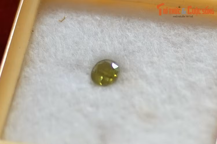 Mẫu olivine thu thập ở Pleiku, Gia Lai. Đây là khoáng vật nesosilicat có thành phần từ silicat magiê đến silicat sắt, có màu xanh lục đặc trưng. Loại đá này được gọi là peridot hoặc “ngọc lục bảo chiều tà” trong ngành công nghiệp đá quý.