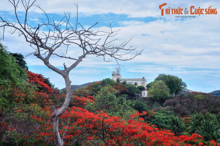 Cảnh sắc thiên nhiên trên núi Cảnh Long, phía Nam Nha Trang. Khu vực này có 5 tòa biệt thự cổ, được gọi là Bảo Đại, nơi vị vua cuối cùng của Việt Nam cùng hoàng hậu Nam Phương "đón gió", "ngắm trăng" những năm 1940.