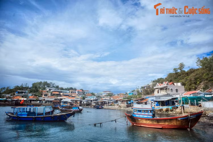 Làng chài trên Hòn Miễu hay đảo Trí Nguyên, hòn đảo nhỏ cách thành phố Nha Trang 2 km. Đây là địa điểm lý tưởng để khám phá cuộc sống gắn bó với biển khơi của người ngư dân ở Nha Trang.