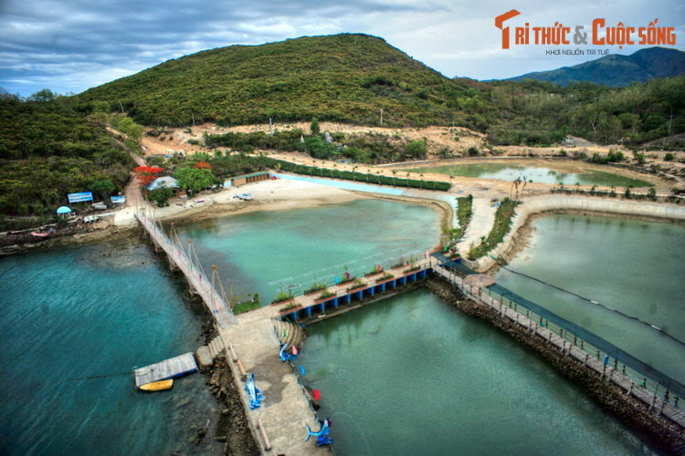 Hồ cá Trí Nguyên ở Hòn Miễu là một điểm đến thú vị cho những ai yêu thích các loài sinh vật biển. Các hồ nước mặn ở nơi đây được ngăn lại bằng hệ thống kè đá, trong hồ nuôi thả hàng trăm loại sinh vật biển quý hiếm và đẹp mắt như một bảo tàng sống về biển.