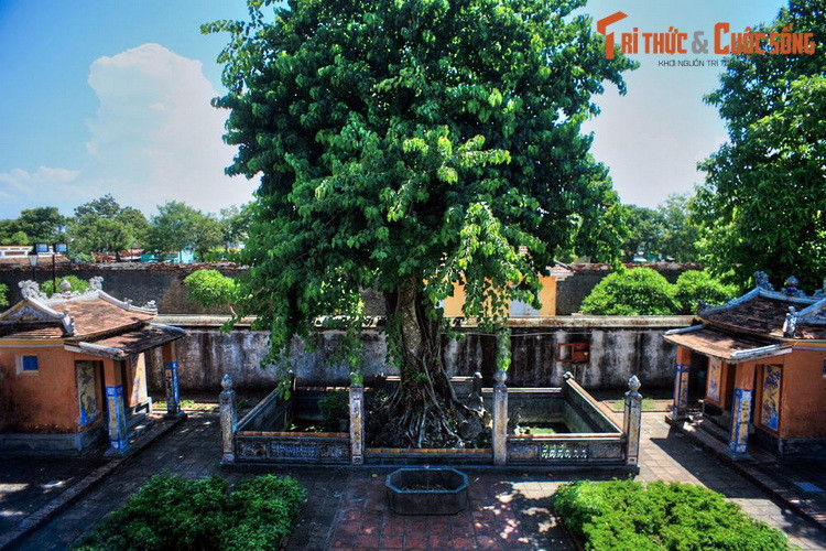 Theo các nhà nghiên cứu văn hóa, Khương Ninh các đã trở thành nơi dung hòa, kết hợp giữa Phật giáo và Thiên Tiên Thánh giáo, hai tôn giáo có ảnh hưởng lớn đến đời sống tinh thần của hoàng gia triều Nguyễn và đại bộ phận người dân xứ Huế đương thời.