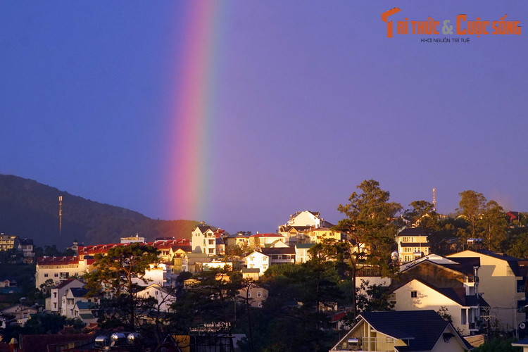 Phần lớn ánh sáng thoát ra ngoài và tập trung thành một vòng cung ở phía đối diện với mặt trời. Đó là cầu vồng bậc một, với các màu được xếp theo thứ tự là là đỏ, cam, vàng, lục, lam, chàm, tím.
