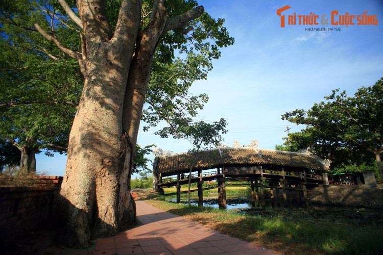 Cầu ngói Thanh Toàn, một điểm nhấn giữa khung cảnh bình dị của miền quê xứ Huế.