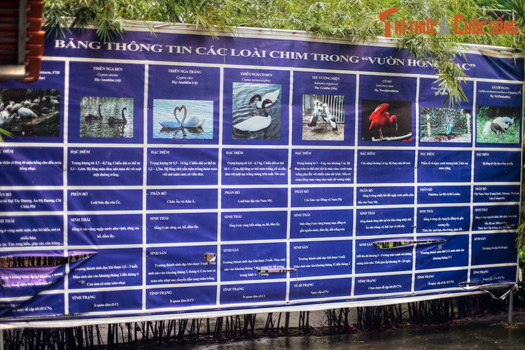 Bảng thông tin về các loài chim trong vườn Hồng Hạc. Do diễn biến phức tạp của dịch bệnh Covid-19, Thảo Cầm Viên Sài Gòn đã đóng cửa từ ngày 23/5/2021. Đông đảo cư dân thành phố đang mong chờ ngày công viên này mở cửa trở lại trong điều kiện bình thường mới.