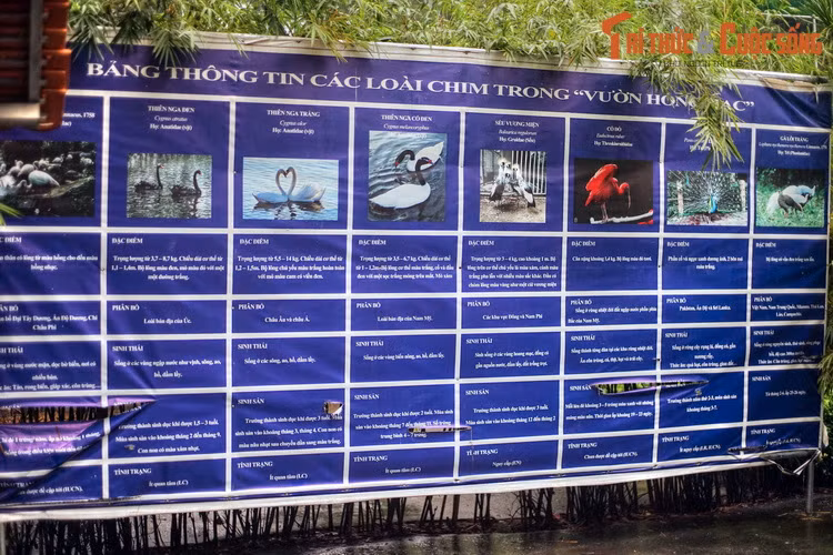 Bảng thông tin về các loài chim trong vườn Hồng Hạc. Do diễn biến phức tạp của dịch bệnh Covid-19, Thảo Cầm Viên Sài Gòn đã đóng cửa từ ngày 23/5/2021. Đông đảo cư dân thành phố đang mong chờ ngày công viên này mở cửa trở lại trong điều kiện bình thường mới.