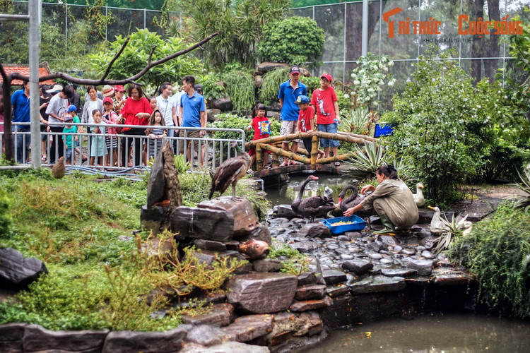 Đây là một khu vườn chim được xây dựng trên diện tích 2.350 m2 với kết cấu lưới bao quanh. Tại đây, du khách có thể quan sát các loài chim từ khoảng cách gần và hoàn toàn không bị ngăn cách.