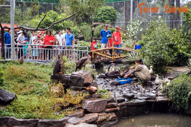 Đây là một khu vườn chim được xây dựng trên diện tích 2.350 m2 với kết cấu lưới bao quanh. Tại đây, du khách có thể quan sát các loài chim từ khoảng cách gần và hoàn toàn không bị ngăn cách.