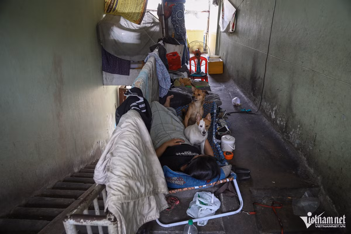 Theo Sở Xây dựng TPHCM, dự án chỉnh trang cụm chung cư Ngô Gia Tự đã được UBND quận 10 đưa vào kế hoạch thực hiện nhiều năm nay. Thế nhưng, dự án này vẫn chưa được thực hiện do ngân sách thành phố còn hạn hẹp. Do đó, quận có chủ trương mời gọi nhà đầu tư để huy động nguồn vốn của doanh nghiệp.