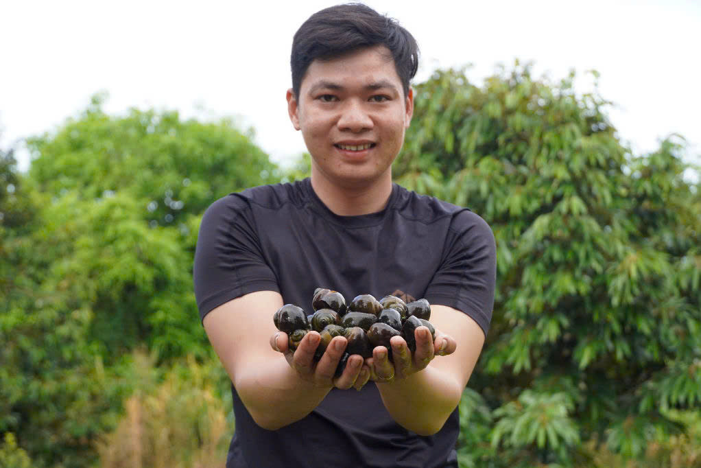 Chàng trai miền Tây phát tài nhờ nuôi ốc trong vườn sầu riêng Chang trai mien Tay phat tai nho nuoi oc trong vuon sau rieng