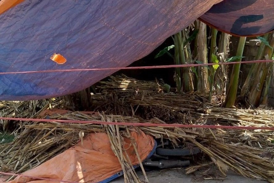 Nghi an nguoi dan ong giet nguoi than, cua co mot phu nu nguy kich