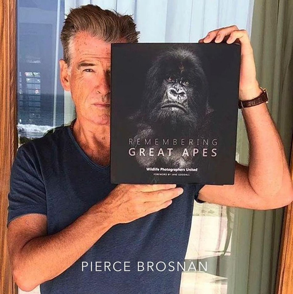 Trong ảnh là diễn viên, nhà sản xuất phim và nhà hoạt động bảo vệ môi trường Pierce Brosnan và cuốn sách "Remembering Great Apes".