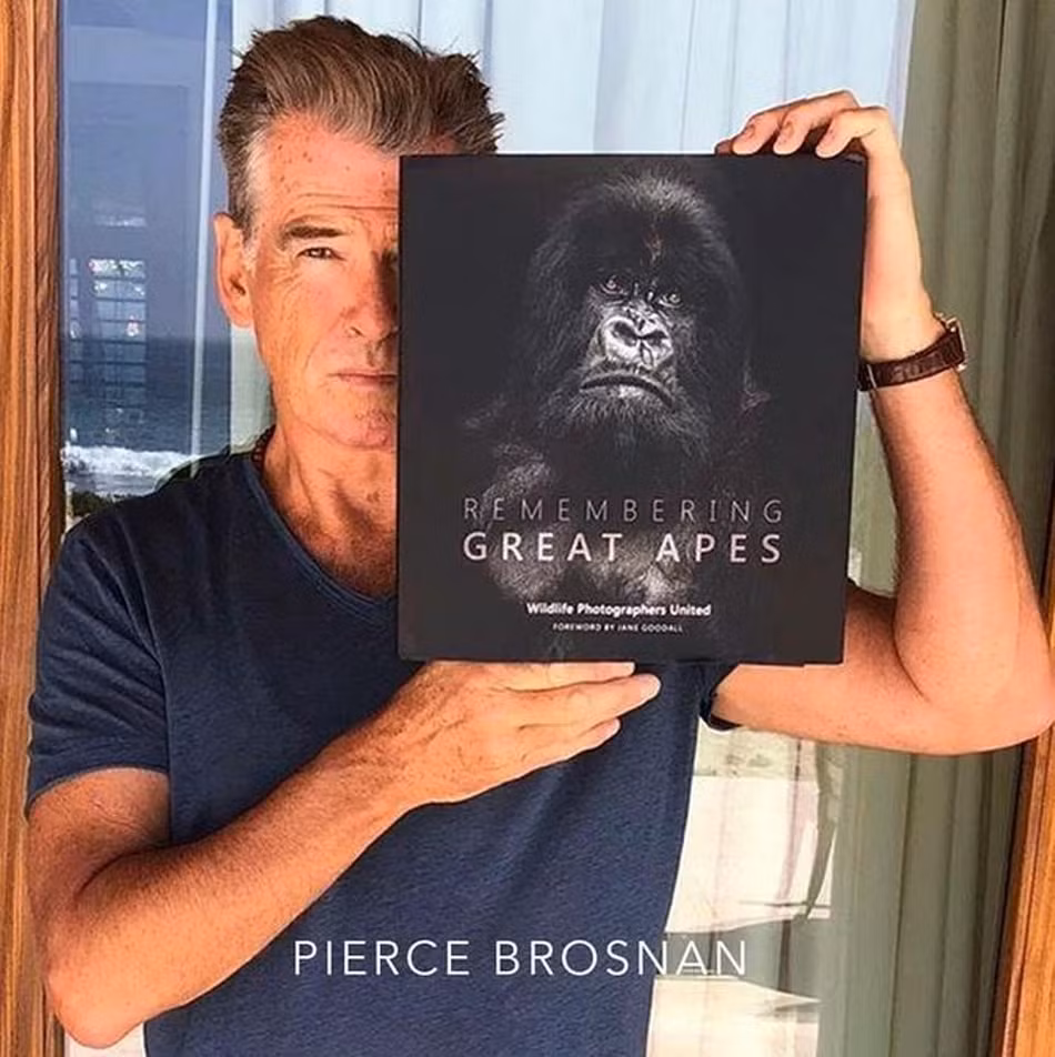 Trong ảnh là diễn viên, nhà sản xuất phim và nhà hoạt động bảo vệ môi trường Pierce Brosnan và cuốn sách "Remembering Great Apes".