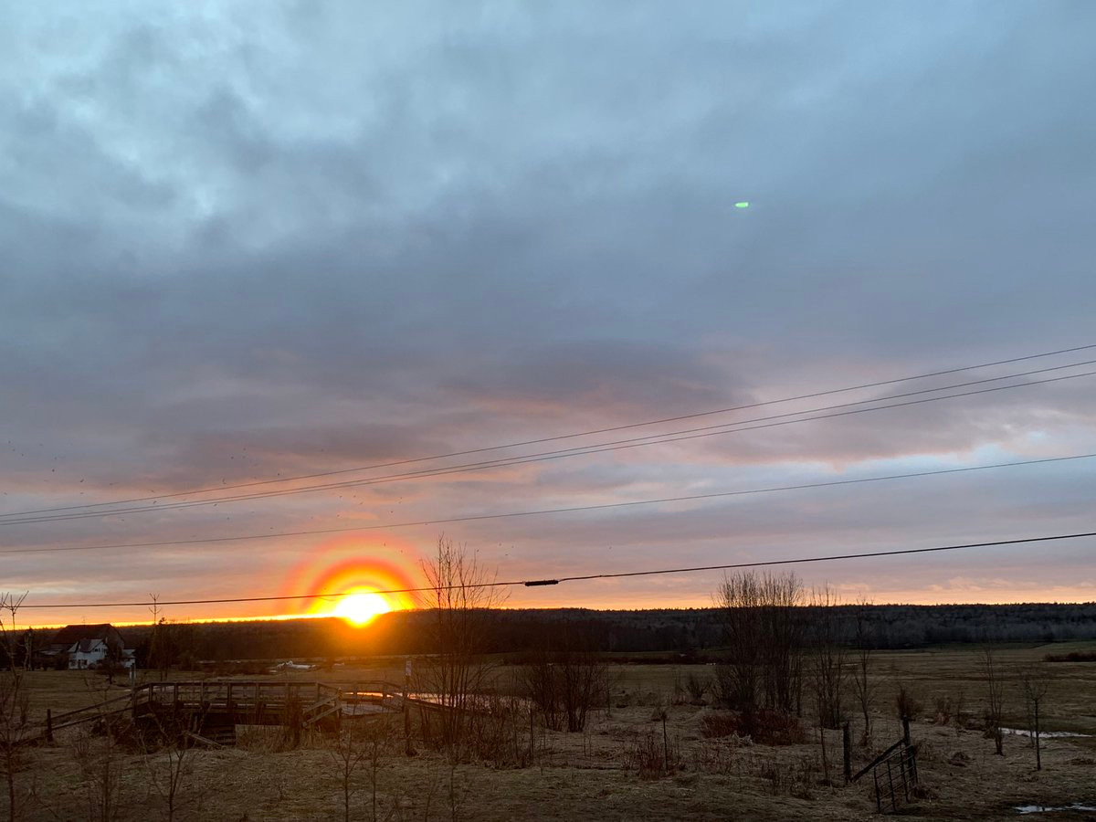 Sung so canh hoang hon bi an, xuat hien la lung-Hinh-2