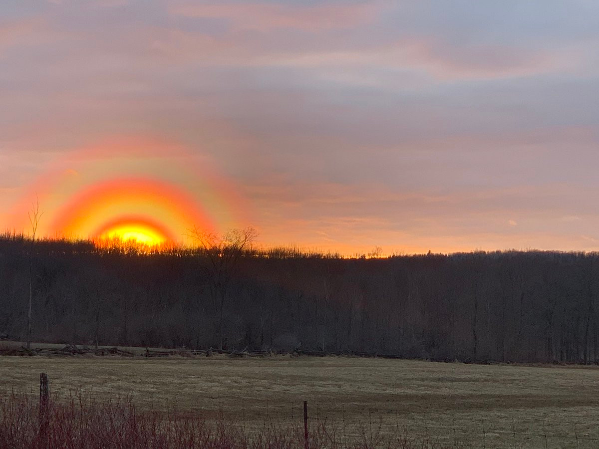 Sung so canh hoang hon bi an, xuat hien la lung-Hinh-3