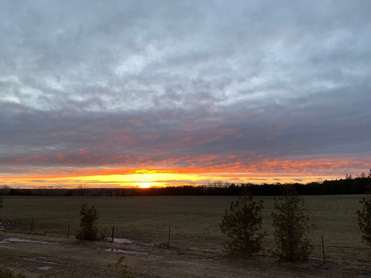 Sung so canh hoang hon bi an, xuat hien la lung-Hinh-4