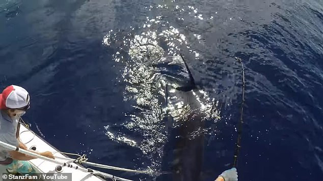 Con cá kiếm nặng tới 343kg, khiến nhiều người không khỏi kinh ngạc.