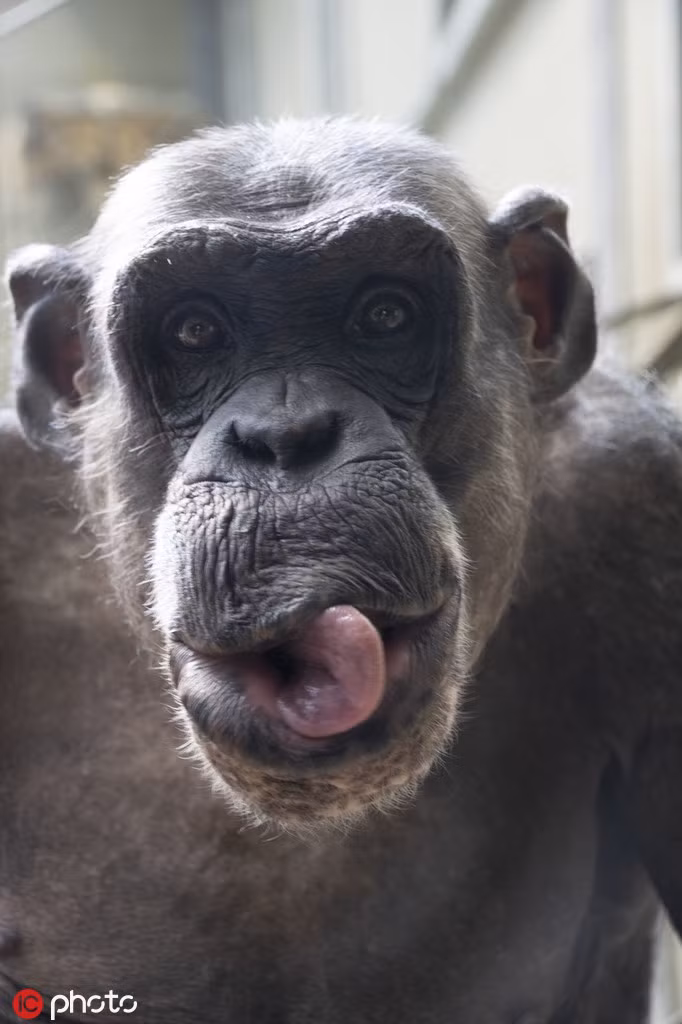 Buc boi nhiep anh gia, tinh tinh quyet lam mat xau-Hinh-5