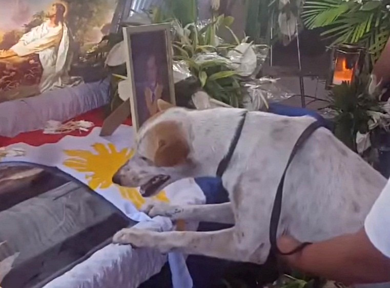 Cho khoc nac, nuc no ben quan tai vi giao su dang kinh