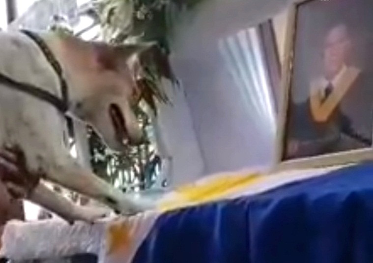 Cho khoc nac, nuc no ben quan tai vi giao su dang kinh-Hinh-2