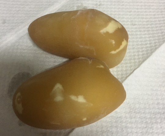 To mo mui vi trung tran, thanh nien quyet thu va ket kho tin-Hinh-2