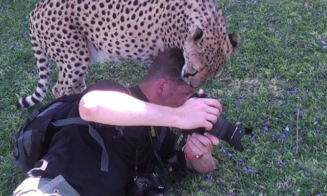 Nhiep anh gia hoang loan voi hanh dong la cua bao dom-Hinh-2