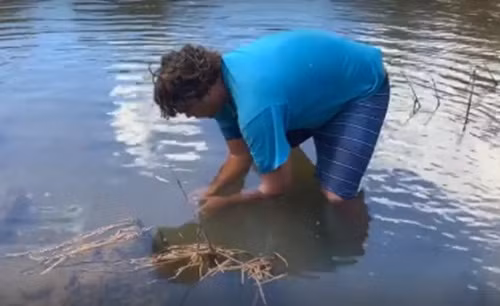 "Sốc" thanh niên tay không bắt cá sấu bằng kỹ thuật cổ xưa