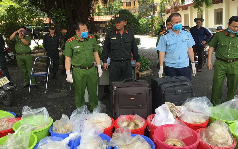 Tuong Cac ke chuyen nhin doi, an chuoi de bat 500kg ma tuy