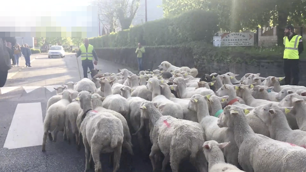 Truong tieu hoc thieu hoc sinh, danh cho cuu... di hoc-Hinh-4