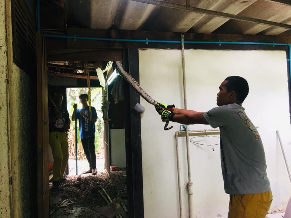 Vài ngày sau, trong lúc dọn dẹp, anh phát hiện một con trăn khổng lồ đang ẩn nấp trên trần nhà, chăm chú theo dõi 4 con mèo còn lại. Hóa ra, con trăn khổng lồ đã lẻn vào nhà và săn giết mèo cưng của anh Anek, hiện tại đói bụng nó quay trở lại và tiếp tục săn mồi.