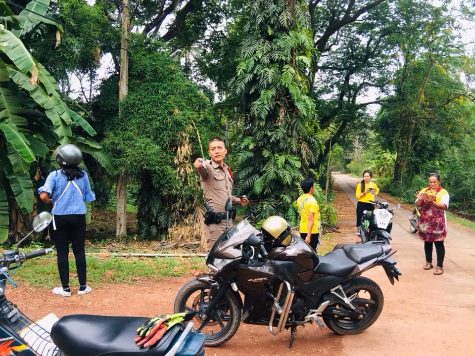 Theo thông tin đăng tải, anh Anek, người địa phương vốn nuôi 5 con mèo nhỏ. Mấy ngày trước, anh phát hiện một con mèo mất tích. Dù đã đi tìm khắp nơi, anh Anek vẫn không thấy bóng dáng con mèo cưng của mình.