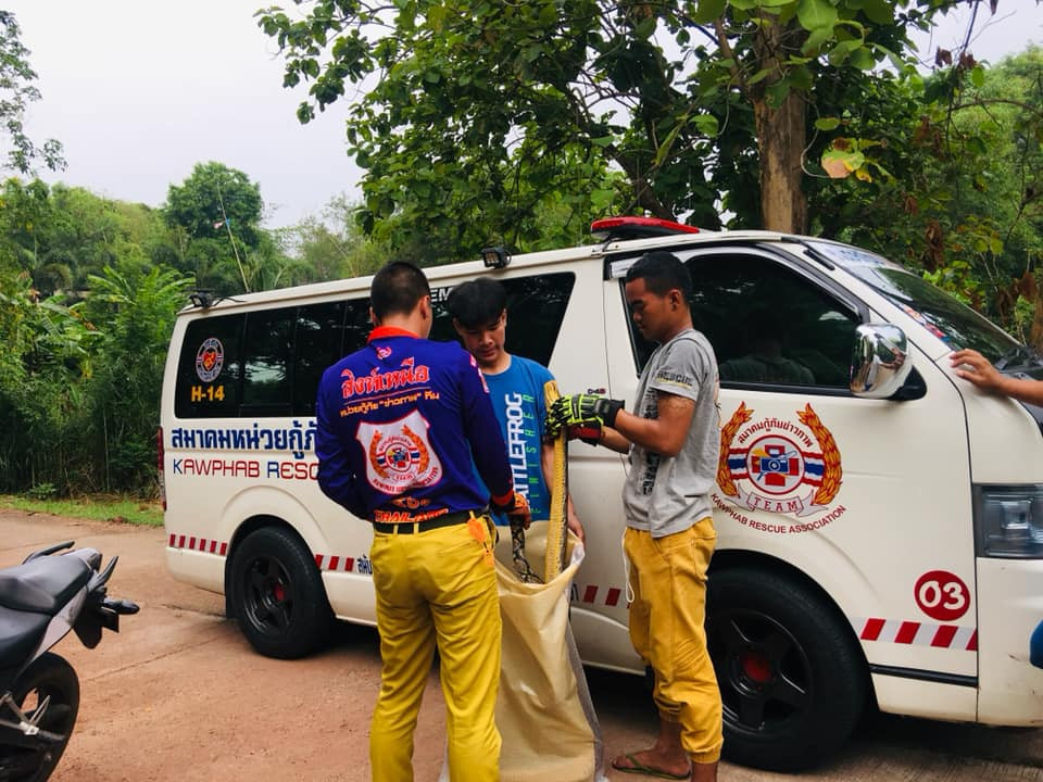 Thú vị ở chỗ, khi con rắn bị phát hiện, 4 con mèo nhỏ còn lại dường như biết kẻ thù đang ẩn nấp, rình rập, vì vậy chúng trốn dưới gầm xe, đến khi con trăn khổng lồ bị bắt mới chịu ra ngoài.