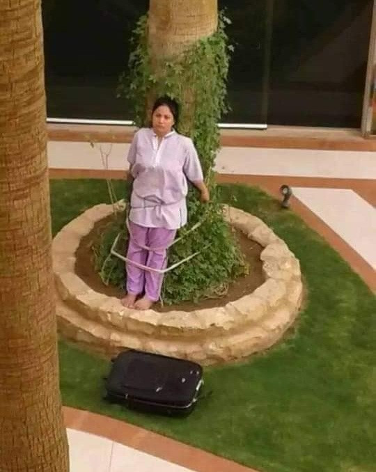 Chi vi dieu nay, nguoi giup viec bi phat theo cach khong ngo-Hinh-2